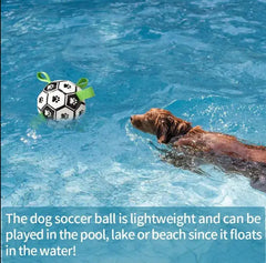 Interactive Dog Toy Football Buyers Bargain Club