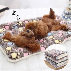 Pet Blanket Zendrop
