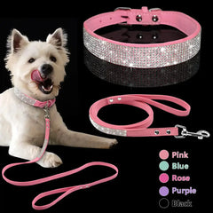 Pet Collar Zendrop