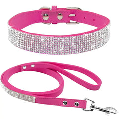 Pet Collar Zendrop