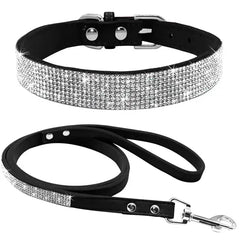 Pet Collar Zendrop