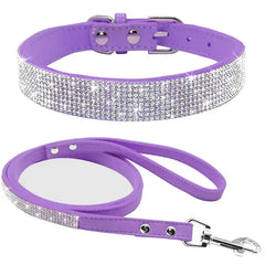 Pet Collar Zendrop