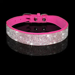 Pet Collar Zendrop