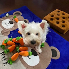 Pet Dog Snuffle Toy Pet Interactive Training Plush Buyers Bargain Club