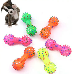Pet Dumbbell Toy Buyers Bargain Club