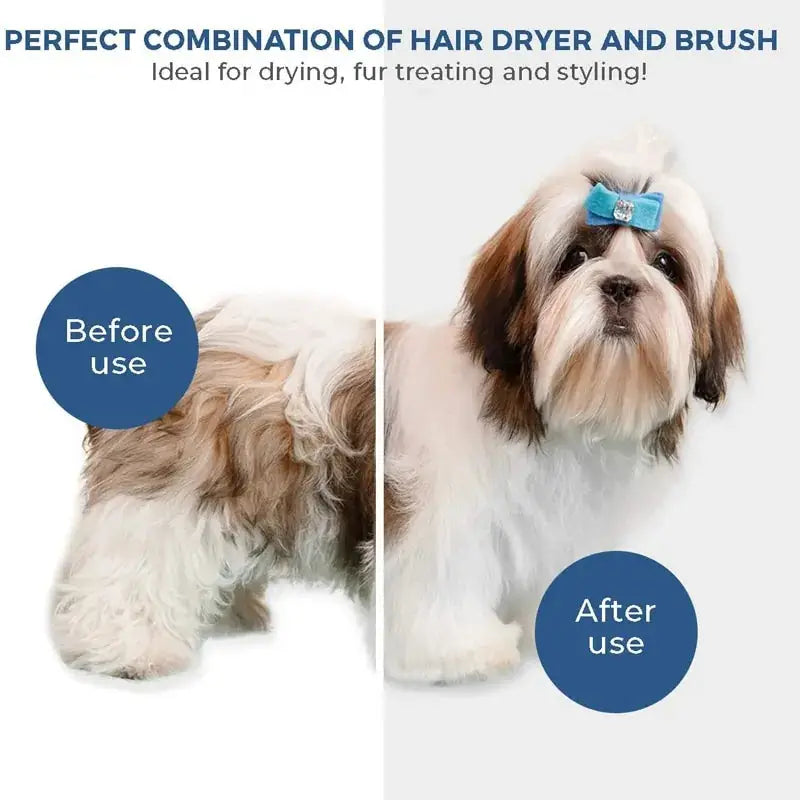 Pet Hair Dryer Zendrop