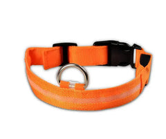Pet Led Collar Zendrop