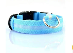Pet Led Collar Zendrop