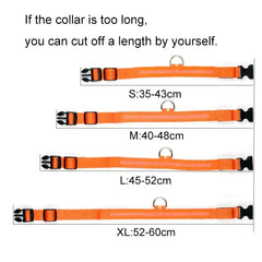 Pet Led Collar Zendrop