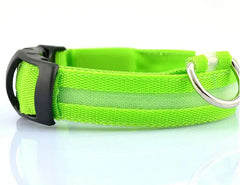 Pet Led Collar Zendrop
