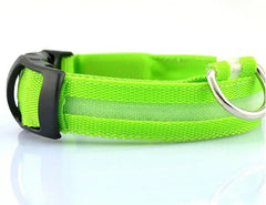 Pet Led Collar Zendrop