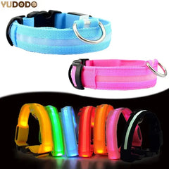 Pet Led Collar Zendrop
