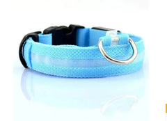 Pet Led Collar Zendrop