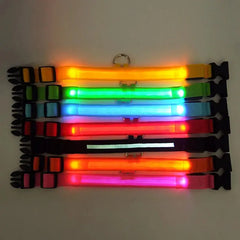 Pet Led Collar Zendrop