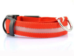 Pet Led Collar Zendrop