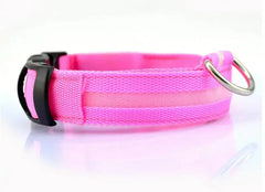 Pet Led Collar Zendrop