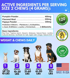 Probiotics for Dogs Digestive Enzymes Gut Flora Digestive Health Immune System Buyers Bargain Club