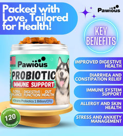 Probiotics for Dogs Digestive Enzymes Gut Flora Digestive Health Immune System Buyers Bargain Club