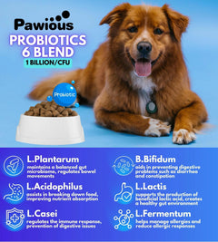 Probiotics for Dogs Digestive Enzymes Gut Flora Digestive Health Immune System Buyers Bargain Club