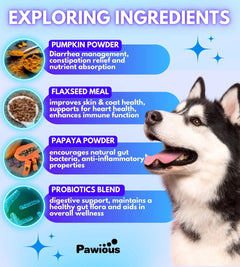 Probiotics for Dogs Digestive Enzymes Gut Flora Digestive Health Immune System Buyers Bargain Club