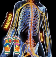 Self-Heating Health Socks Buyers Bargain Club