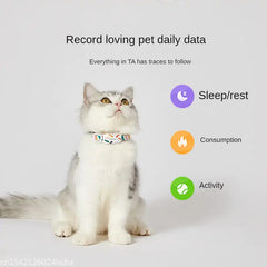 Smart Pet Collar Buyers Bargain Club