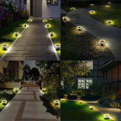 Solar Powered Ground Lights Buyers Bargain Club
