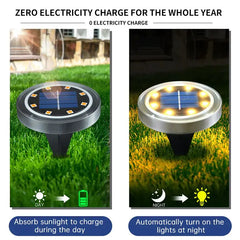 Solar Powered Ground Lights Buyers Bargain Club