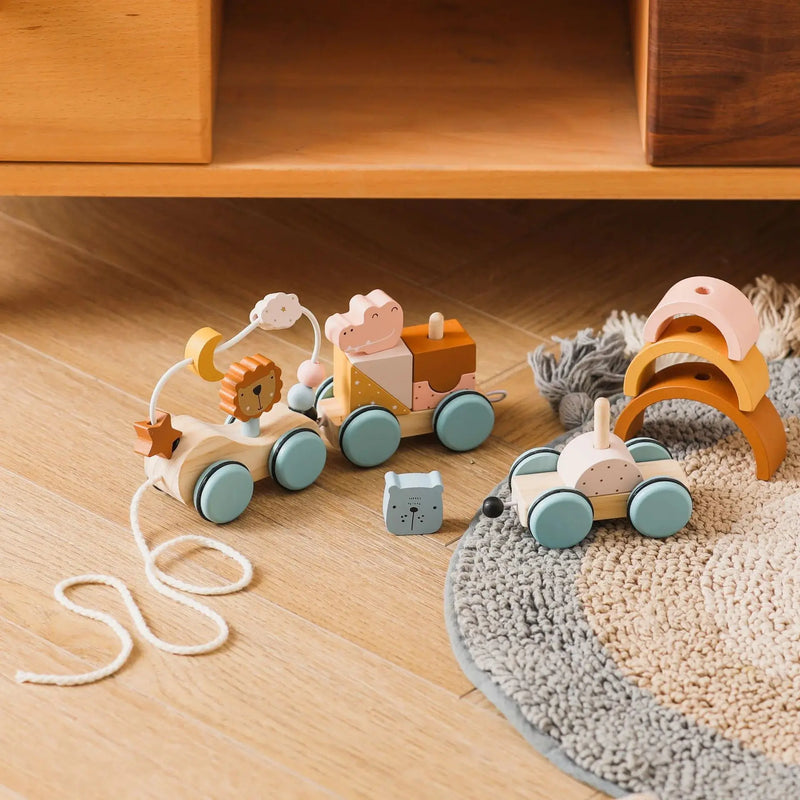 Wooden Montessori Puzzle Toy ZENDROP