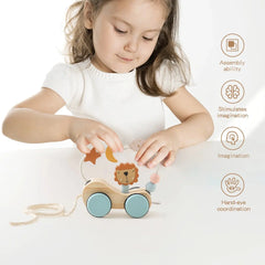 Wooden Montessori Puzzle Toy ZENDROP