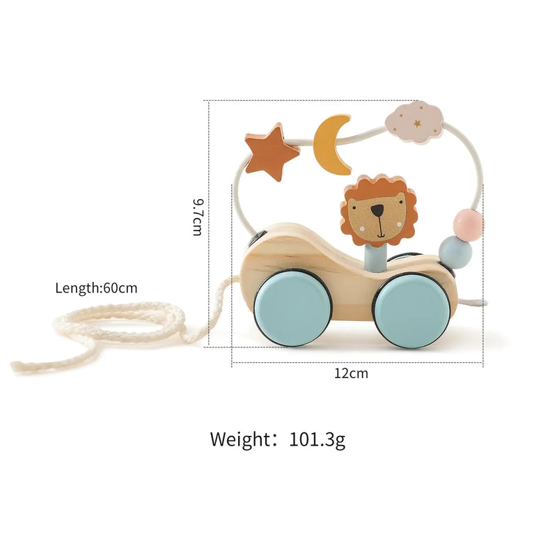 Wooden Montessori Puzzle Toy ZENDROP