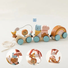 Wooden Montessori Puzzle Toy ZENDROP