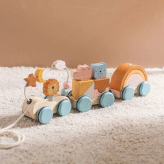 Wooden Montessori Puzzle Toy ZENDROP